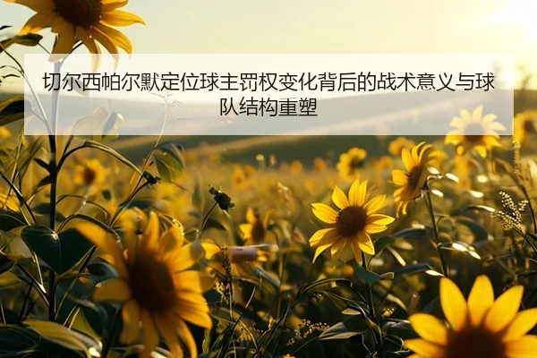 切尔西帕尔默定位球主罚权变化背后的战术意义与球队结构重塑