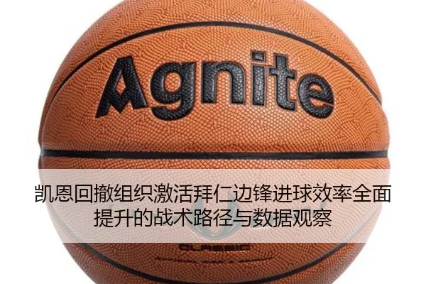 img_1782644958208_282_1_952.jpg
